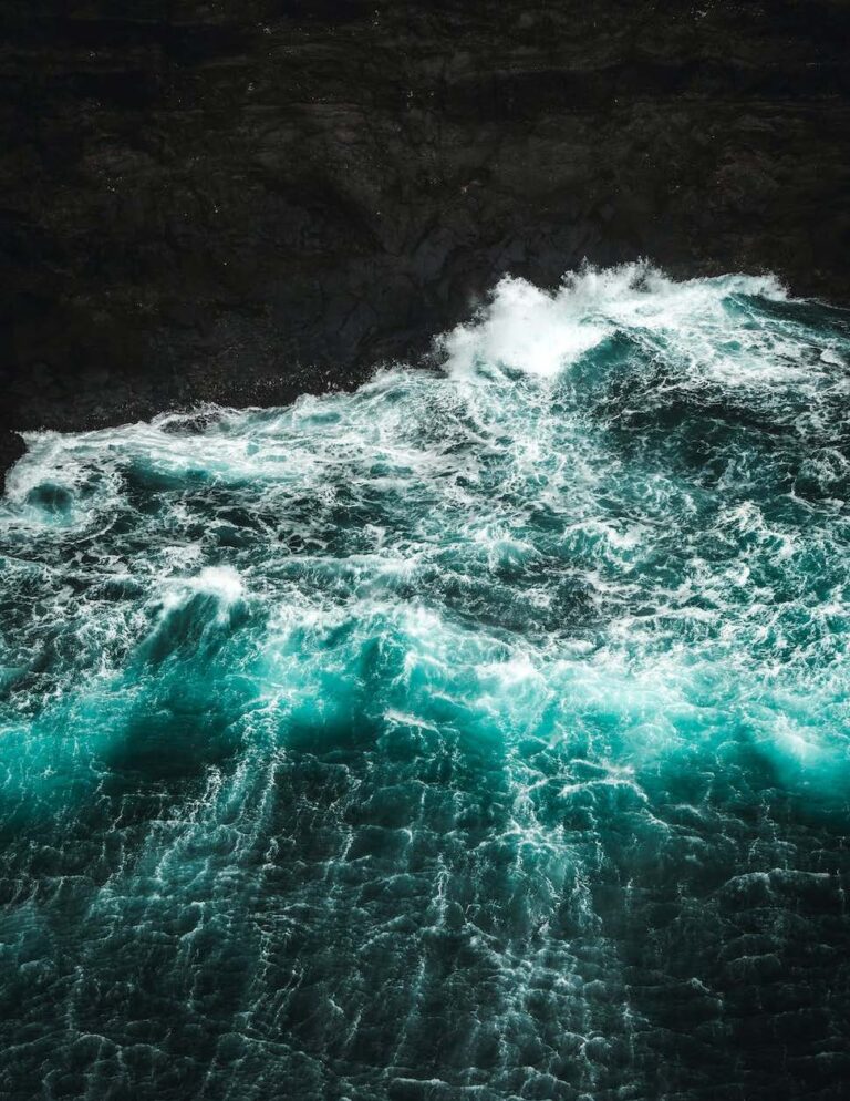 Waves
